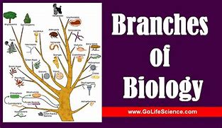 Image result for biology branches science