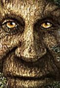 Image result for Wise Mystical Tree Face