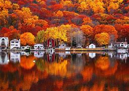 Image result for Fall Leaves Desktop Background Lake