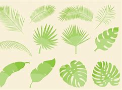 Image result for Tropical Leaf Vector File