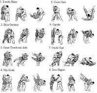 Image result for Judo Moves