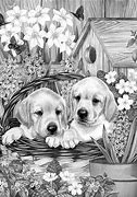 Image result for Cute Lab Puppy Coloring Pages