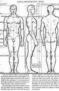 Image result for Human Figure Proportion Drawing Lesson