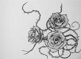 Image result for Rose Stem with Thorns Drawing