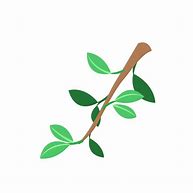 Image result for Branch Illustration