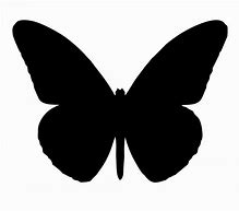 Image result for Free Butterfly Desktop Screensaver