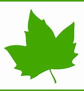 Image result for Maple Leaf Vector Clip Art