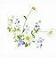 Image result for Wildflower ClipArt