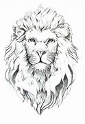 Image result for Annoyed Lion Drawing Face