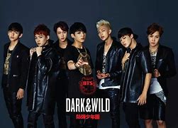 Image result for BTS Dark and Wild Album Cover