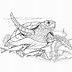 Image result for Fun Turtle Coloring Pages