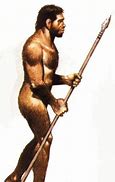 Image result for Homo Erectus Human