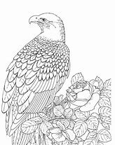 Image result for Cute Eagle Coloring Pages