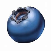 Image result for Phatracc Art Blueberry