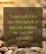 Image result for Chloroplast Pick Up Lines