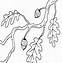 Image result for Coloring Page of Branch