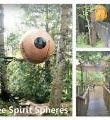 Image result for Tree House Hotel