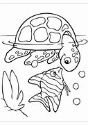 Image result for Turtle Coloring Pages for Toddlers