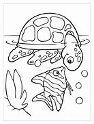 Image result for Fun Turtle Coloring Pages