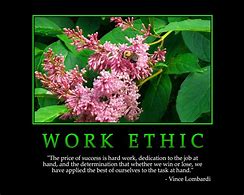 Image result for Daily Inspirational Work Quotes Motivational