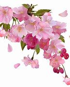 Image result for Flowers and Vines Clip Art