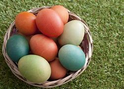 Image result for Easter Basket PrintOuts