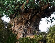 Image result for Tree of Life Inspirational Quotes