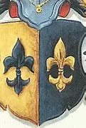 Image result for Iron Door Design Fleur De Lis