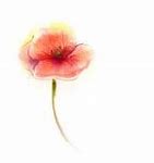 Image result for Pink Poppy Flower Art