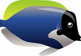 Image result for Blue Tang Fish Clip Art