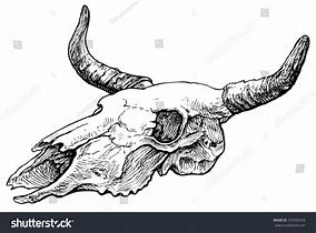 Image result for Cow Skull Outline