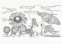 Image result for Kids Coloring Nature