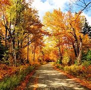 Image result for Summer Fall Images