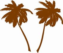 Image result for Fan Palm Egypt