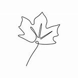 Image result for Maple Leaf Outline Drawing