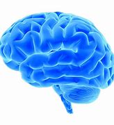 Image result for Brain Input