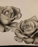 Image result for Animal Pencil Shading Drawings