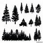 Image result for Cypress Tree Clip Art