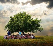 Image result for Children Sitting Under a Tree Learning From an Elder