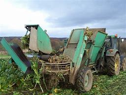 Image result for Fodder for Cattle Feed