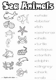 Image result for Worksheet Animals Beach