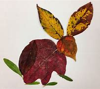 Image result for Leaf Art for Pic