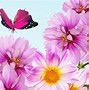 Image result for Floral Design Wallpaper HD