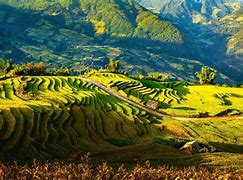 Image result for Miền Núi