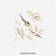 Image result for Birds On Branches