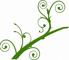 Image result for Leaf Branch Clip Art