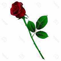 Image result for Long Stem Rose Line Art