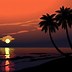 Image result for Beach Hut Palm Tree Vector