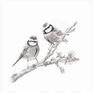 Image result for Drawing of a Bird On a Branch with a Colourful Background