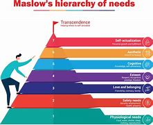 Image result for Who Is Abraham Maslow